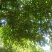 ヒメ日記 2025/05/07 21:46 投稿 こう club さくら日本橋店