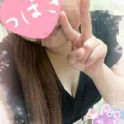 ヒメ日記 2024/12/19 12:11 投稿 つばき 美人専門店 潤