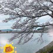 ヒメ日記 2025/04/02 12:39 投稿 つばき 美人専門店 潤