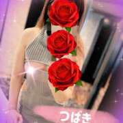 ヒメ日記 2026/07/09 12:03 投稿 つばき 美人専門店 潤
