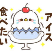 ヒメ日記 2025/07/04 13:39 投稿 のりこ 奥鉄オクテツ兵庫