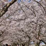 ヒメ日記 2026/04/06 18:54 投稿 のりこ 奥鉄オクテツ兵庫