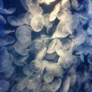 ヒメ日記 2025/09/22 17:03 投稿 ひかる ニューグランド