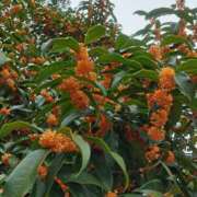 ヒメ日記 2025/10/21 20:13 投稿 ひかる ニューグランド