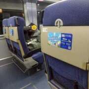 ヒメ日記 2025/11/21 11:06 投稿 ひかる ニューグランド