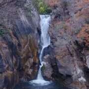 ヒメ日記 2025/11/25 17:04 投稿 ひかる ニューグランド