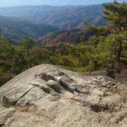 ヒメ日記 2025/11/28 10:33 投稿 ひかる ニューグランド