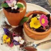 ヒメ日記 2026/03/06 20:33 投稿 ひかる ニューグランド