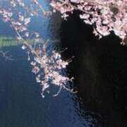 ヒメ日記 2026/03/13 21:39 投稿 ひかる ニューグランド