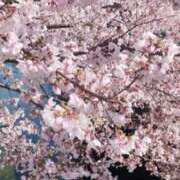 ヒメ日記 2026/03/22 18:43 投稿 ひかる ニューグランド