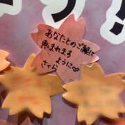 ヒメ日記 2025/04/03 10:49 投稿 さくら 越谷マッサージ＋
