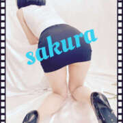 ヒメ日記 2025/04/07 11:41 投稿 さくら 越谷マッサージ＋