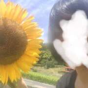 ヒメ日記 2026/04/14 11:52 投稿 さくら 越谷マッサージ＋