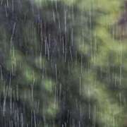 ヒメ日記 2025/01/06 23:14 投稿 かすみ One More 奥様　錦糸町店