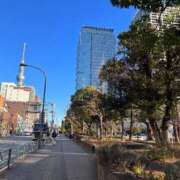 ヒメ日記 2025/02/11 12:03 投稿 かすみ One More 奥様　錦糸町店