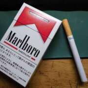 ヒメ日記 2025/03/31 14:54 投稿 かすみ One More 奥様　錦糸町店