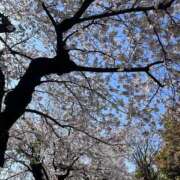 ヒメ日記 2025/04/05 13:46 投稿 かすみ One More 奥様　錦糸町店