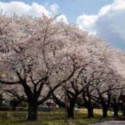 ヒメ日記 2025/04/30 14:57 投稿 かすみ One More 奥様　錦糸町店