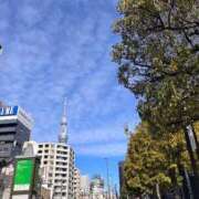 ヒメ日記 2025/11/05 16:54 投稿 かすみ One More 奥様　錦糸町店