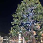 ヒメ日記 2025/11/29 22:48 投稿 かすみ One More 奥様　錦糸町店