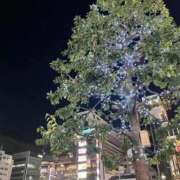 ヒメ日記 2025/11/29 22:53 投稿 かすみ One More 奥様　錦糸町店