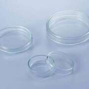 ヒメ日記 2025/12/23 18:15 投稿 かすみ One More 奥様　錦糸町店