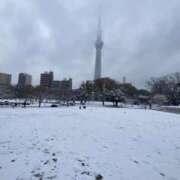 ヒメ日記 2026/02/08 17:02 投稿 かすみ One More 奥様　錦糸町店