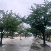 ヒメ日記 2026/03/26 14:06 投稿 かすみ One More 奥様　錦糸町店