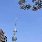 ヒメ日記 2026/03/30 14:33 投稿 かすみ One More 奥様　錦糸町店