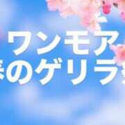ヒメ日記 2026/04/14 13:57 投稿 かすみ One More 奥様　錦糸町店