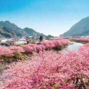 ヒメ日記 2026/04/17 15:07 投稿 かすみ One More 奥様　錦糸町店
