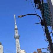 ヒメ日記 2026/05/19 14:13 投稿 かすみ One More 奥様　錦糸町店