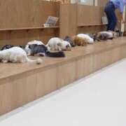 ヒメ日記 2025/05/13 15:15 投稿 橋本（はしもと） 熟女の風俗最終章 大宮店