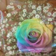 ヒメ日記 2025/05/15 16:09 投稿 橋本（はしもと） 熟女の風俗最終章 大宮店