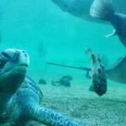 ヒメ日記 2025/09/01 13:35 投稿 橋本（はしもと） 熟女の風俗最終章 大宮店