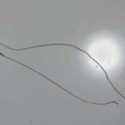 ヒメ日記 2025/10/07 13:15 投稿 橋本（はしもと） 熟女の風俗最終章 大宮店