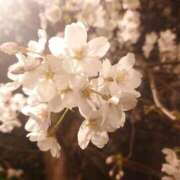 ヒメ日記 2026/04/20 10:48 投稿 橋本（はしもと） 熟女の風俗最終章 大宮店