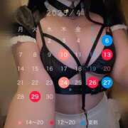 ヒメ日記 2025/03/26 08:45 投稿 ねね ティアラ