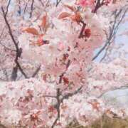 ヒメ日記 2025/04/27 17:03 投稿 村上　らん ソープランド蜜 人妻・美熟女専門店