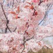 ヒメ日記 2025/05/04 11:22 投稿 村上　らん ソープランド蜜 人妻・美熟女専門店