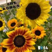 ヒメ日記 2025/08/31 09:10 投稿 村上　らん ソープランド蜜 人妻・美熟女専門店