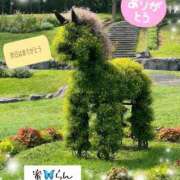 ヒメ日記 2025/09/09 08:15 投稿 村上　らん ソープランド蜜 人妻・美熟女専門店