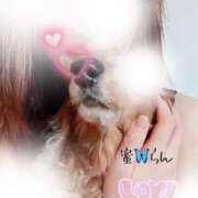 ヒメ日記 2025/09/23 20:52 投稿 村上　らん ソープランド蜜 人妻・美熟女専門店