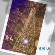 ヒメ日記 2025/11/15 13:04 投稿 村上　らん ソープランド蜜 人妻・美熟女専門店