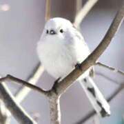 ヒメ日記 2025/11/21 16:32 投稿 村上　らん ソープランド蜜 人妻・美熟女専門店