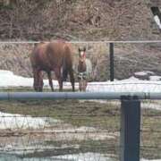ヒメ日記 2026/01/03 14:12 投稿 村上　らん ソープランド蜜 人妻・美熟女専門店