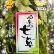 ヒメ日記 2026/01/06 17:17 投稿 村上　らん ソープランド蜜 人妻・美熟女専門店