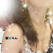 ヒメ日記 2026/02/17 11:32 投稿 村上　らん ソープランド蜜 人妻・美熟女専門店