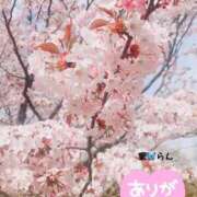ヒメ日記 2026/05/01 09:18 投稿 村上　らん ソープランド蜜 人妻・美熟女専門店
