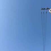 ヒメ日記 2024/12/31 11:35 投稿 めぐ ゴールドフィンガー